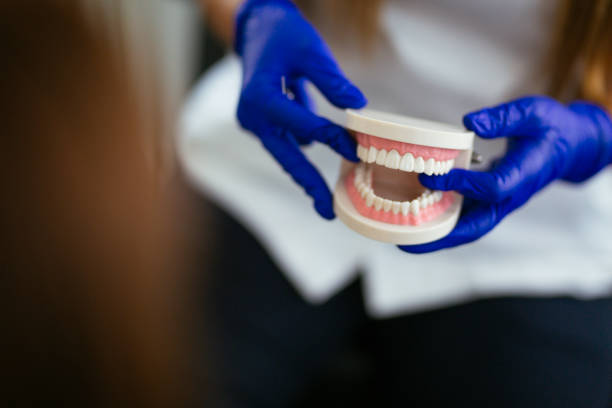  West Hamburg, PA Holistic Dental Services Pros